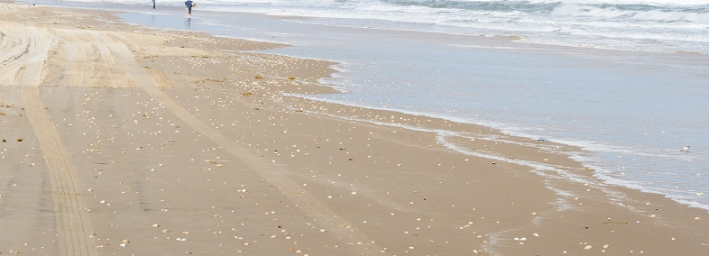 South Padre Island Texas TX Beach Vacations USA