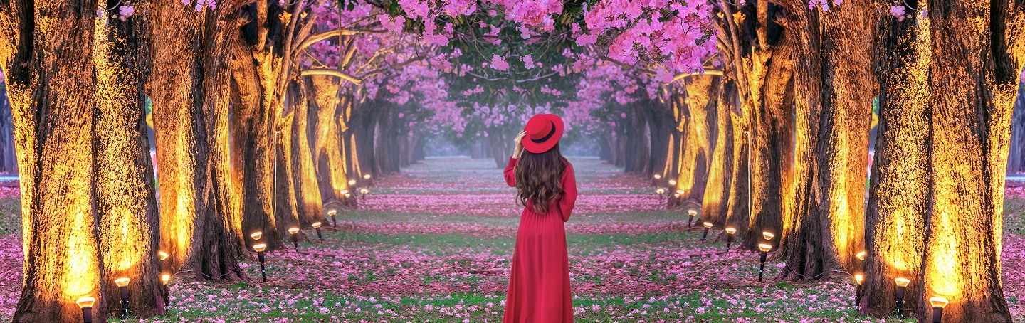 Find Family Spring Break Deals 2026 Florida, FL